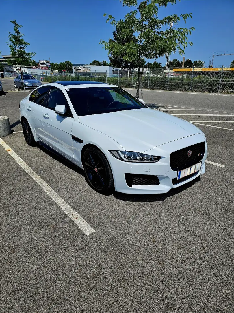 Jaguar XE S Aut. 3.0 V6 - frischer Service! Weiß - 1