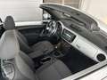 Volkswagen Beetle Design Cabrio Familienbes/elektr. Verdeck/GARANTIE Silber - thumbnail 13