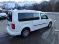 Volkswagen Caddy Maxi 5Sitz LKW zwei Schiebetüren! Weiß - thumbnail 8