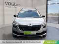 Skoda Kamiq Kamiq TSI DSG Monte Carlo Silber - thumbnail 6