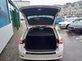 Skoda Octavia Combi Clever 1,0l TSI e-TEC 81kW DSG Weiß - thumbnail 15