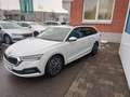 Skoda Octavia Combi Clever 1,0l TSI e-TEC 81kW DSG Weiß - thumbnail 6