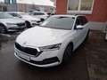 Skoda Octavia Combi Clever 1,0l TSI e-TEC 81kW DSG Weiß - thumbnail 3