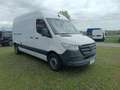 Mercedes-Benz Sprinter - più IVA Bianco - thumbnail 2