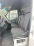 Mercedes-Benz Sprinter - più IVA Bianco - thumbnail 5
