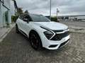 Kia Sportage Sportage V 1.6 crdi mhev GT-line Sunroof Pack dct Weiß - thumbnail 3