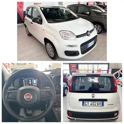 Fiat Panda 5 POSTI PANDINA 1.0 HYBRID 70CV KM 0 AUTO NUOVA