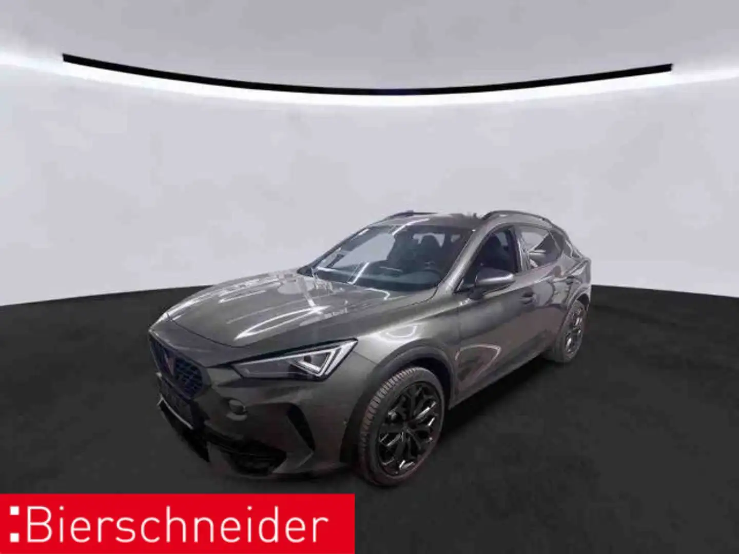 CUPRA Formentor 2.0 TSI DSG VZ Tribe Edition MATRIX PA Grau - 2