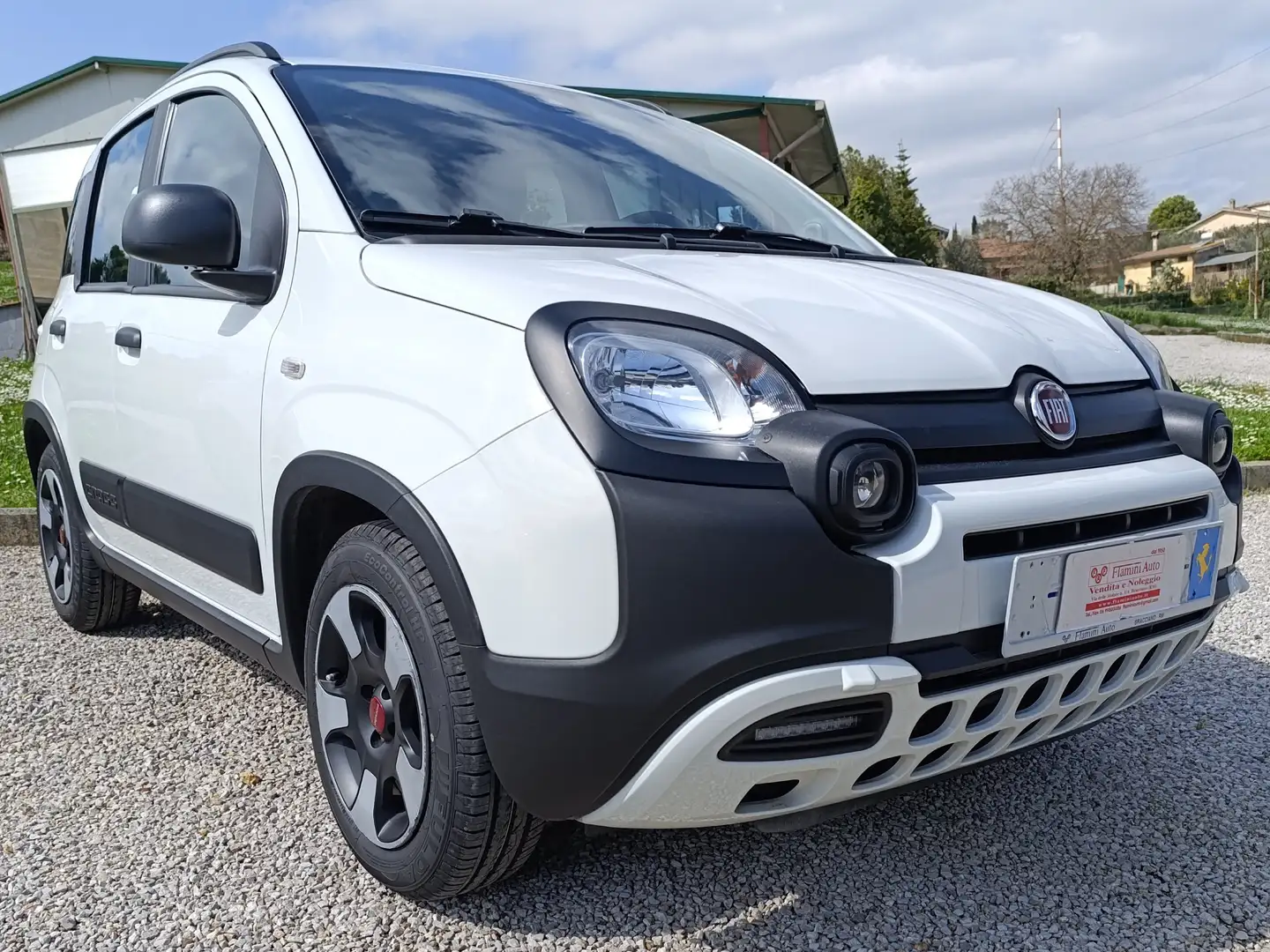 Fiat Panda Panda 1.0 hybrid Cross 4x2 Bianco - 1