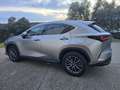 Lexus NX 300h 450h+ Luxury 4WD Gris - thumbnail 18
