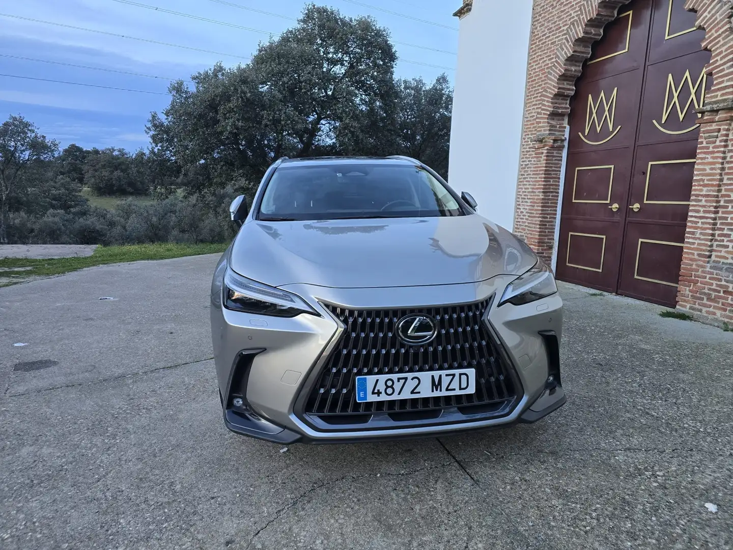 Lexus NX 300h 450h+ Luxury 4WD Gris - 2