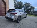 Lexus NX 300h 450h+ Luxury 4WD Gris - thumbnail 4