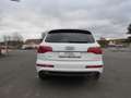 Audi Q7 4.2 TDI quattro, 7 Sitz., LUFT, ACC, S-LINE Weiß - thumbnail 5