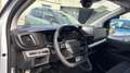 Fiat Scudo 1.5 BlueHDi 120cv PL-TN Furgone Bianco - thumbnail 6