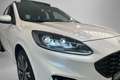 Ford Kuga 2.5 PHEV ST-Line X | Panoramadak | Driver Assistan Wit - thumbnail 13