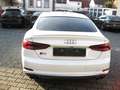 Audi S5 Sportback 3.0 TFSI quattro tiptr.Top Ausst. Weiß - thumbnail 13