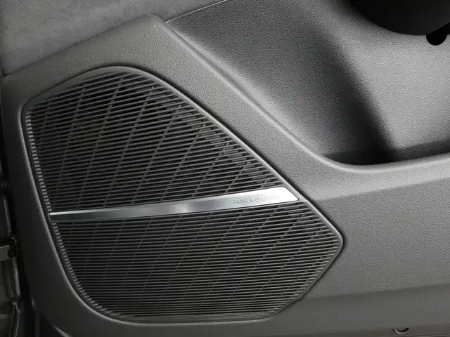 Audi RS Q8 view 14