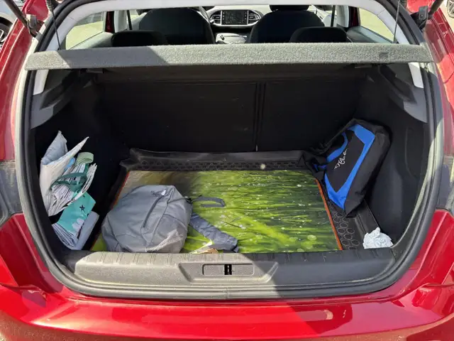 Peugeot 308 view 15