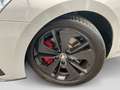 Skoda Octavia Combi 2.0 TSI RS LED SmartLink Bluetooth Grau - thumbnail 5