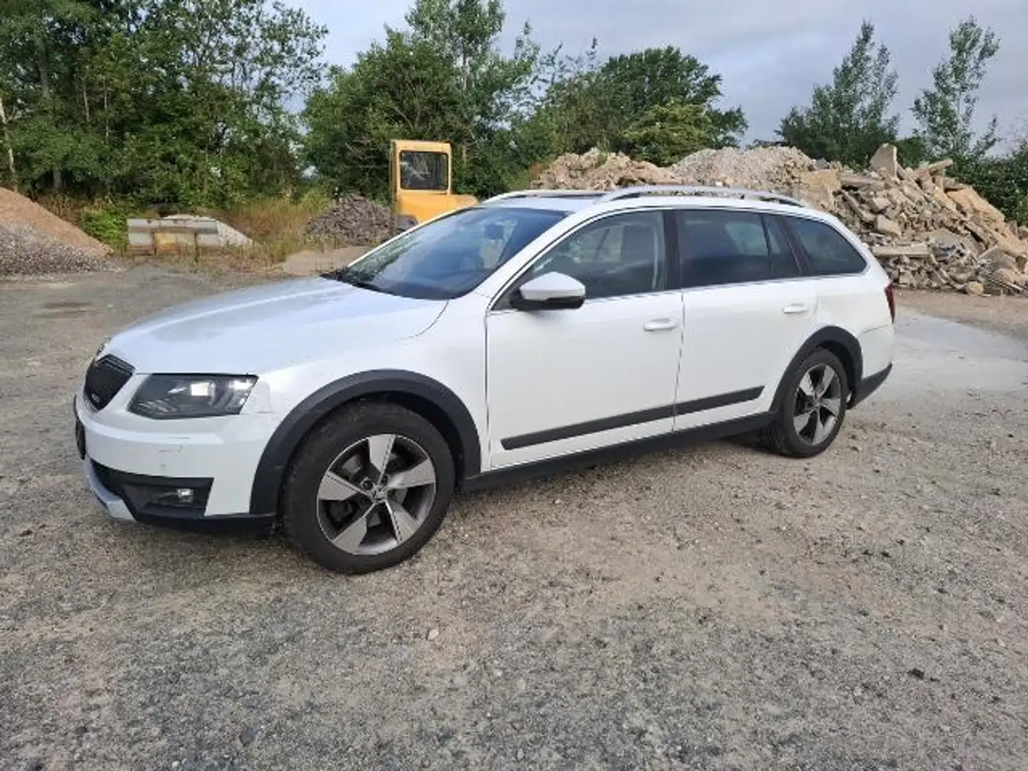 Skoda Octavia Combi Scout 4x4 Pano AHK Standheizung Weiß - 1