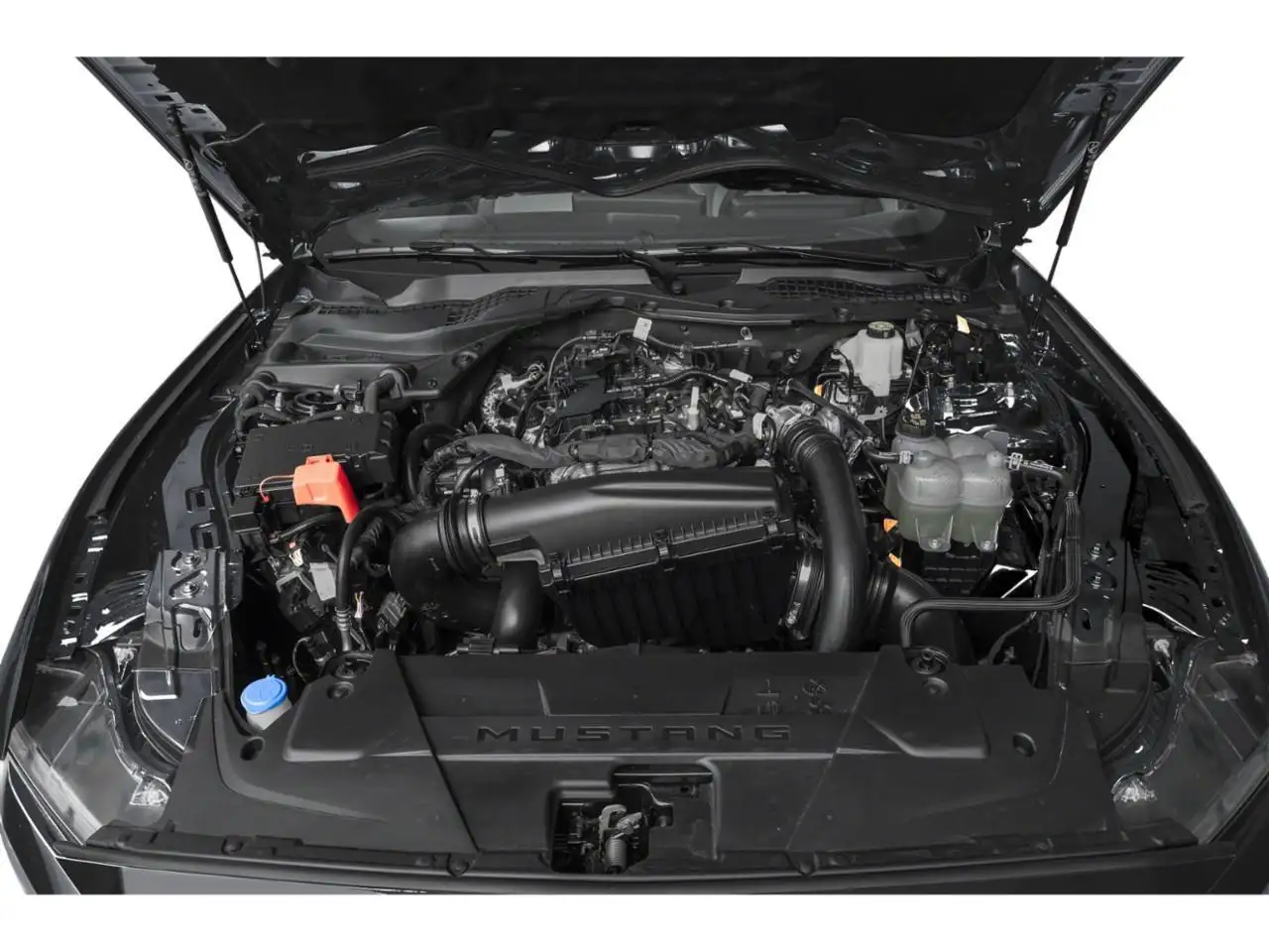 Ford Mustang fotografie Ford Mustang