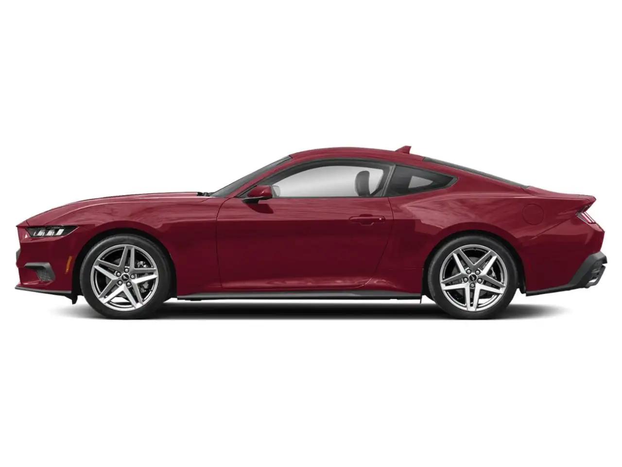 Ford Mustang fotografie Ford Mustang