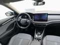 Skoda Octavia Combi 1.5 TSI mHEV 110 kW Selection AHK Grau - thumbnail 9