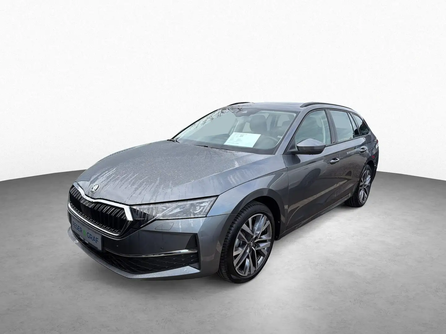 Skoda Sonstige 1.5 TSI mHEV 110 kW Selection, AHK Grau - 1