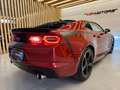Chevrolet Camaro Camaro Coupe 2.0TURBO SPORT ZL1 PACKAGE 400CV Rosso - thumbnail 8