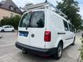 Volkswagen Caddy Maxi 4 MOTION SORTIMO REGALLE GROSS/AHK Blanc - thumbnail 4