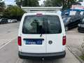 Volkswagen Caddy Maxi 4 MOTION SORTIMO REGALLE GROSS/AHK Blanc - thumbnail 5