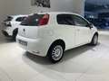 Fiat Punto Punto 1.3 MJT 75CV 3 porte Van Easy 2 posti E5+ Bianco - thumbnail 6