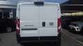 Fiat Ducato 33MH1 PASSO MEDIO TETTO STANDARD 2.2MJET 140CV Bianco - thumbnail 3