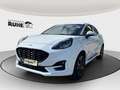 Ford Puma 1.0 EcoBoost ST-Line KAMERA LED NAVI SHZ Weiß - thumbnail 2