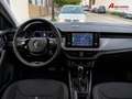 Skoda Scala 1.0 TSI Ambition DSG 81kW Gris - thumbnail 5