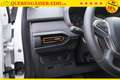 Dacia Sandero Stepway 1.0 TCe 90 CVT 67 kW (91 PS), Automatik... Blanc - thumbnail 11