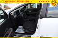 Dacia Sandero Stepway 1.0 TCe 90 CVT 67 kW (91 PS), Automatik... Blanc - thumbnail 9