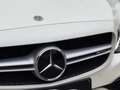 Mercedes-Benz C 63 AMG Coupe 7G-MCT Panorama LED *Garantie* Weiß - thumbnail 22