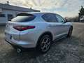 Alfa Romeo Stelvio Stelvio 2.2 t Rosso Edizione rwd 160cv auto Argento - thumbnail 12