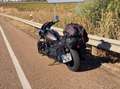 Indian Scout Scout Bobber Limited + tech Beige - thumbnail 4