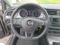 Volkswagen Golf GOLF Kombi TDI 110 PS Grau - thumbnail 13