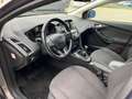 Ford Focus 1.5 Titanium / 182PK / NAVIGATIE / TREKHAAK / CRUI Bruin - thumbnail 7