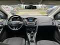 Ford Focus 1.5 Titanium / 182PK / NAVIGATIE / TREKHAAK / CRUI Bruin - thumbnail 6
