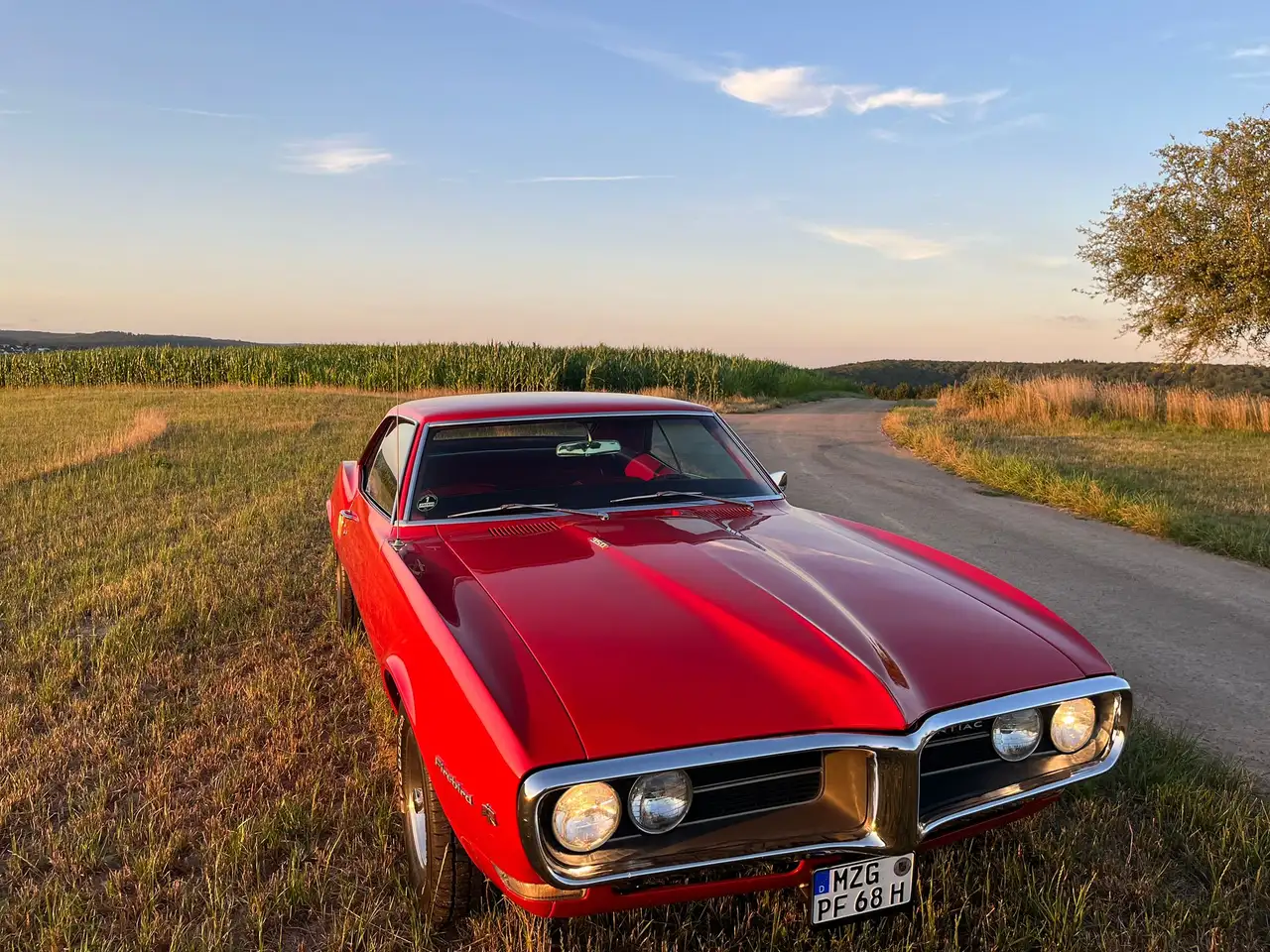 Pontiac Firebird V8 Coupé H-Kennzeichen, foto 6