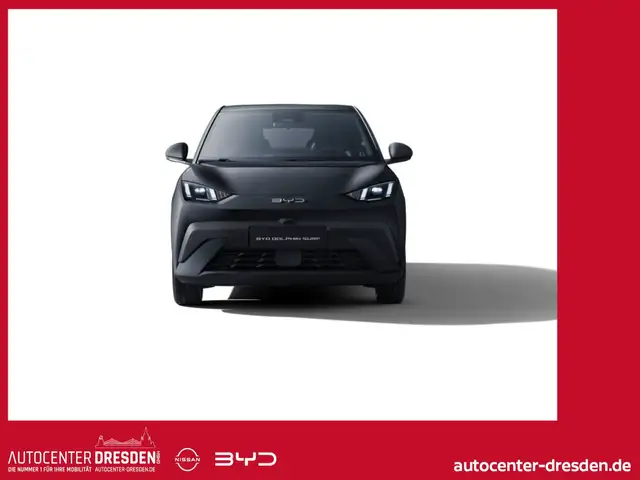 BYD Dolphin Surf Comfort 360° Navi SHZ Connectiv
