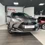 Toyota Yaris 120H 1.5 Active Plus Gris - thumbnail 3