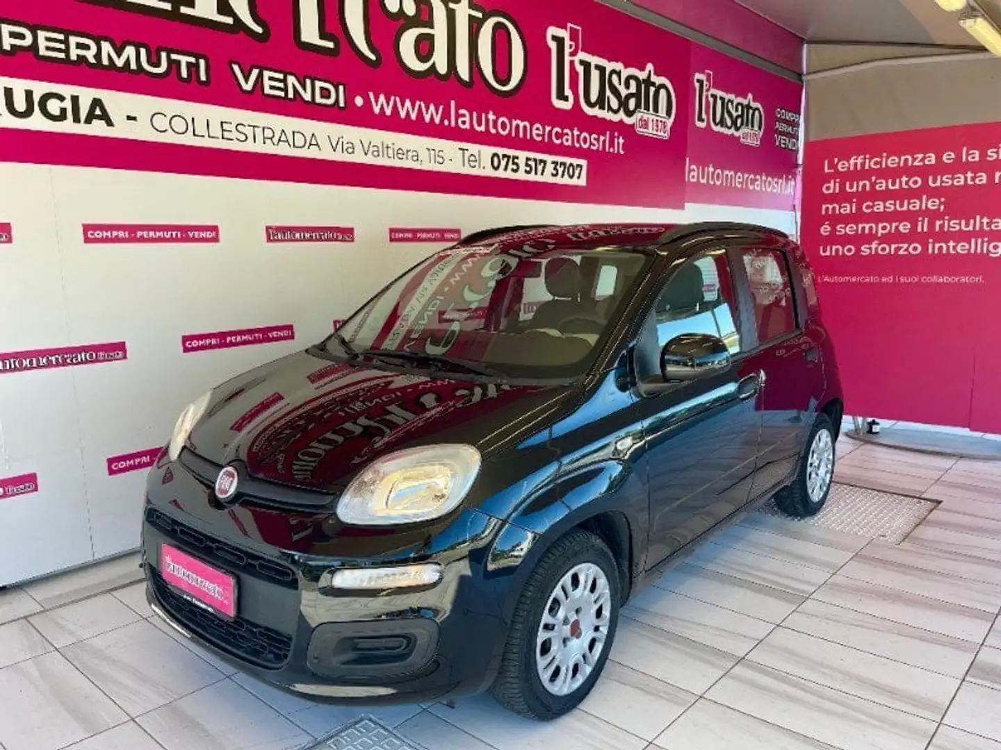 Fiat Panda Panda 1.2 Easy Nero - 1