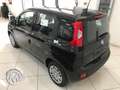 Fiat Panda Pandina 1.0 firefly hybrid s Nero - thumbnail 2