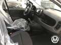 Fiat Panda Pandina 1.0 firefly hybrid s Nero - thumbnail 6
