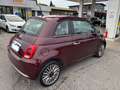 Fiat 500 500 1.2 Lounge PANORAMA CERCHI BLUETOOTH STUPENDA Mauve - thumbnail 5